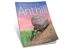 Observations from an Anthill (Booklet)