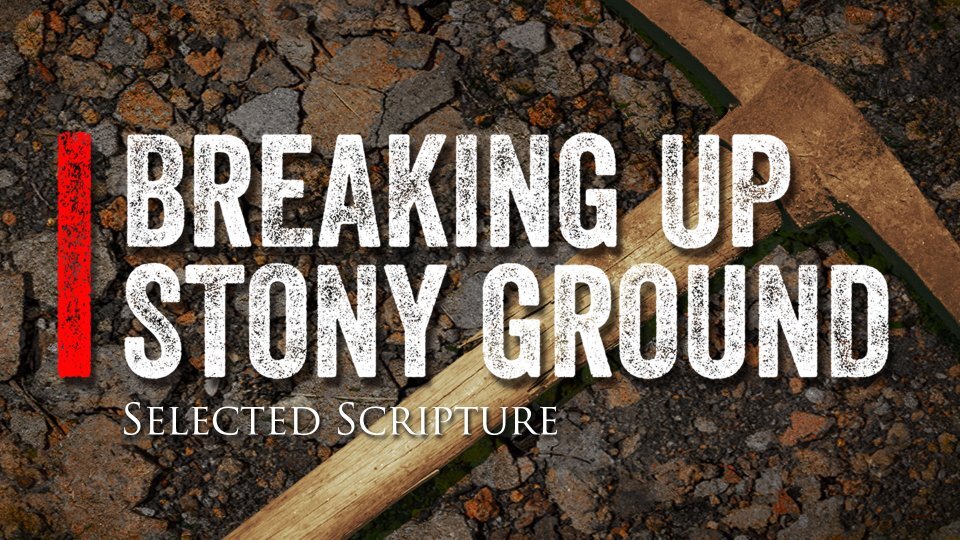 Series: Breaking Up Stony Ground