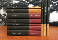 Wisdom Commentary Series - Bundle and Save!