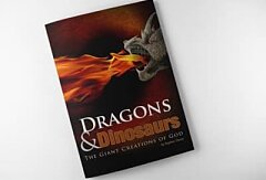 Dragons & Dinosaurs (Booklet)
