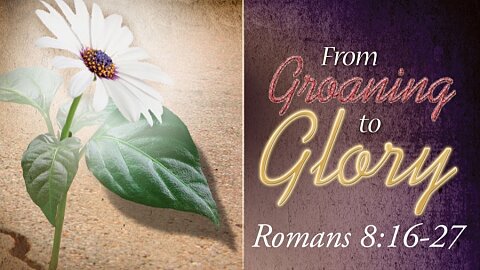 Romans Lesson 87 - The Groaning of Creation