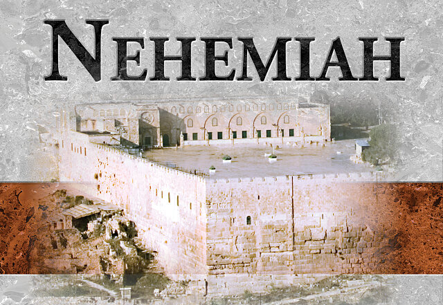 nehemiah web 2020
