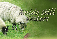 Beside Still Waters (CD Set)