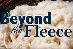 Judges Part 2 - Beyond The Fleece (CD Set)