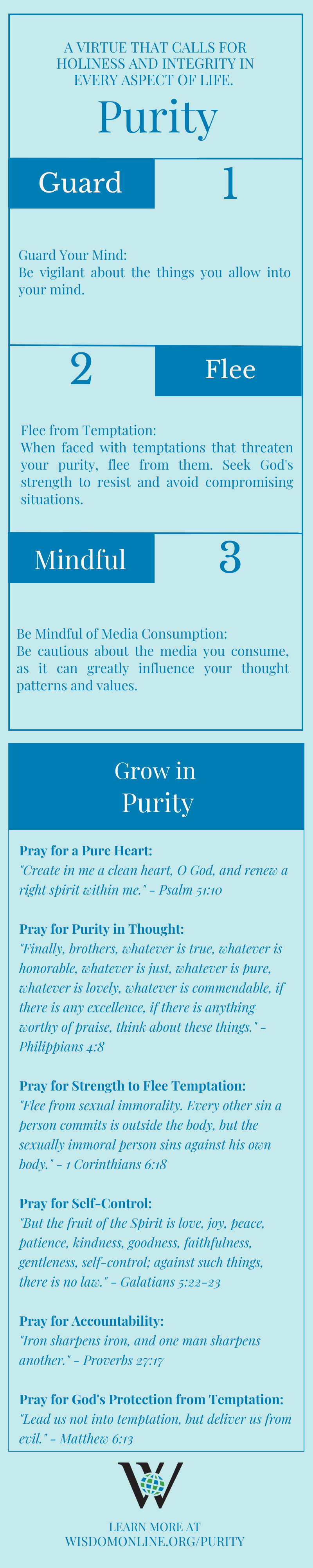 Infographic on the Biblical characteristic of putiry